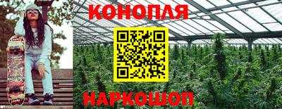 СК Заводоуковск