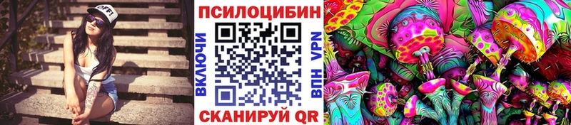 Галлюциногенные грибы Cubensis Гурьевск