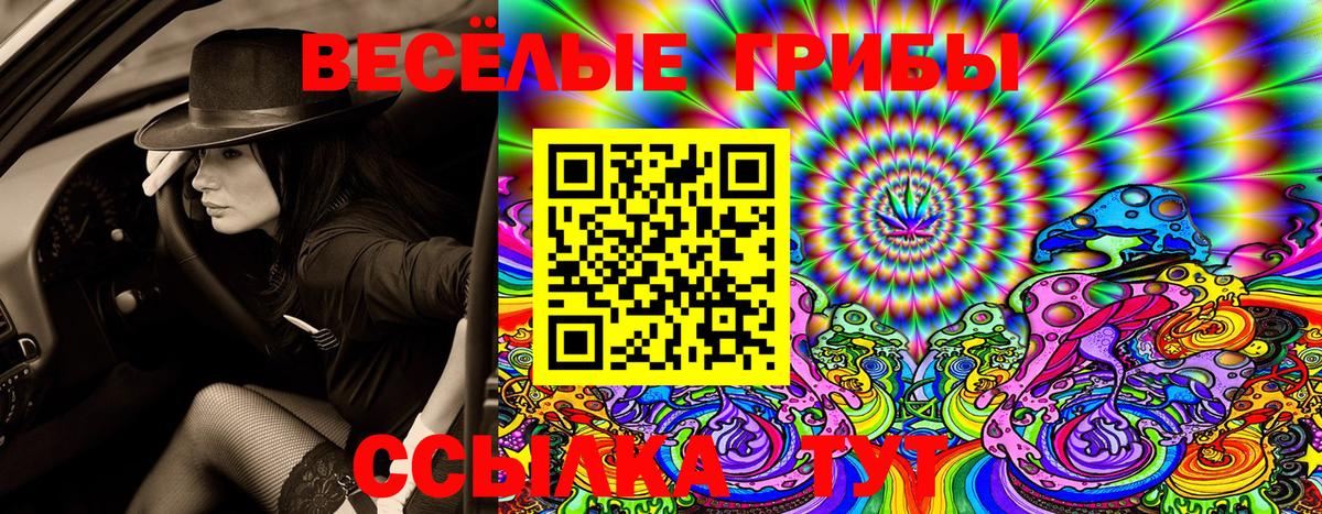 Гурьевск  Галлюциногенные грибы Psilocybe  Вход с VPN  Галлюциногенные грибы GOLDEN TEACHER 