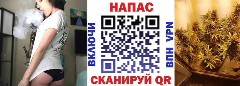Бошки Шишки план Гурьевск
