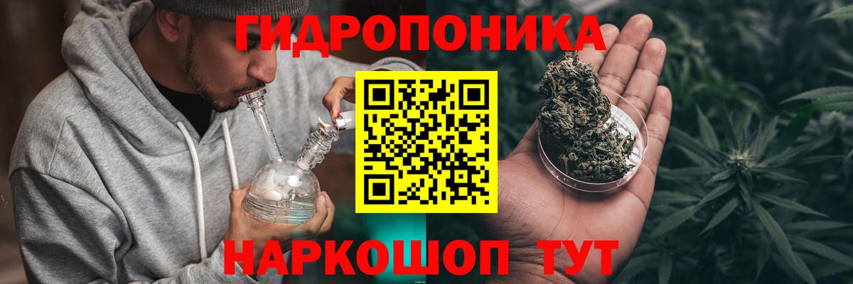 Шишки марихуана семена Гурьевск